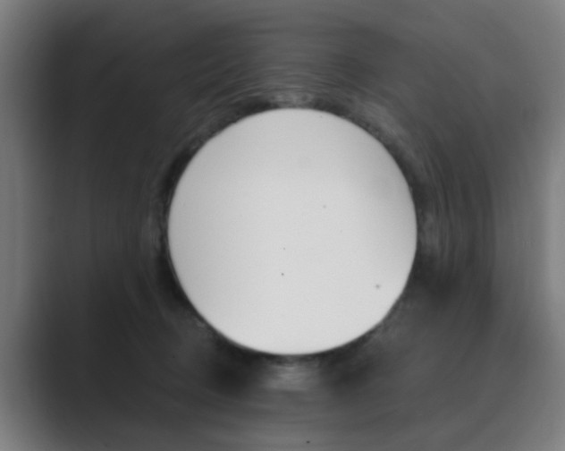 X0000089940370200706290820