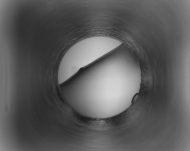 X0000089940374200706290820