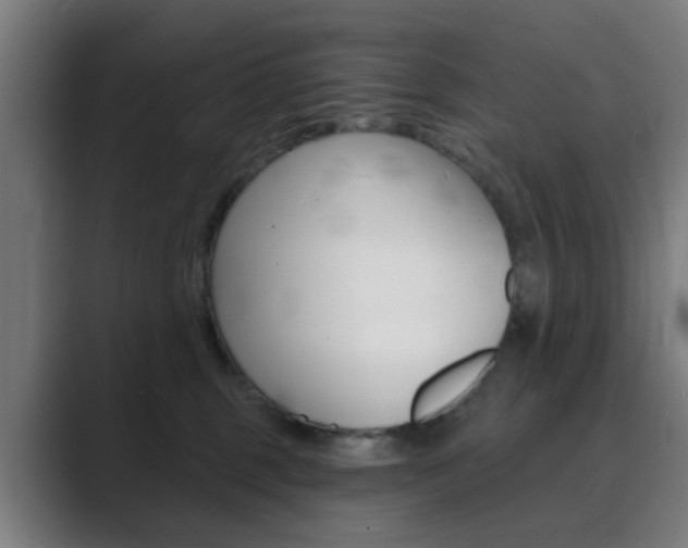 X0000089940375200706290820