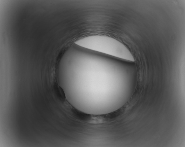X0000089940376200706290820