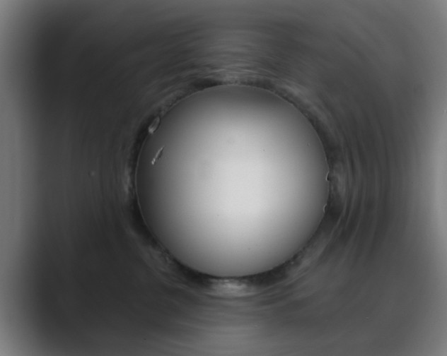 X0000089940380200706290820