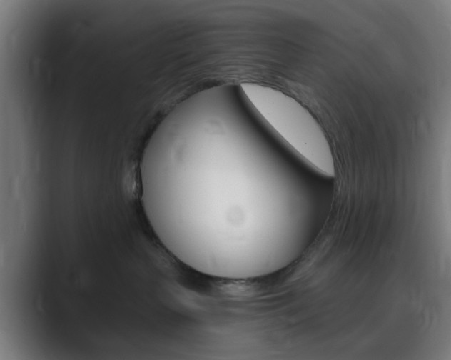 X0000089940383200706290820