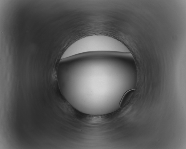 X0000089940384200706290820