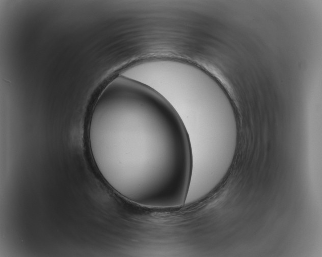 X0000089940391200706290820