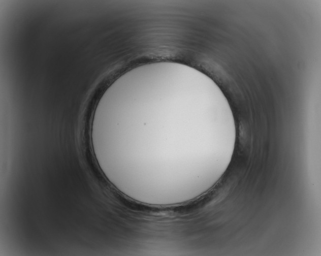 X0000089940396200706290819