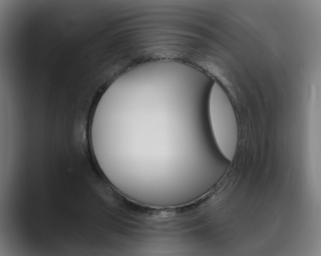 X0000089940398200706290819