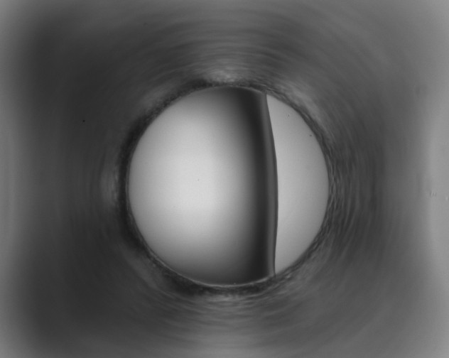 X0000089940400200706290819