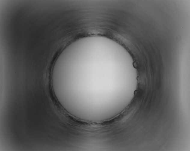 X0000089940402200706290819