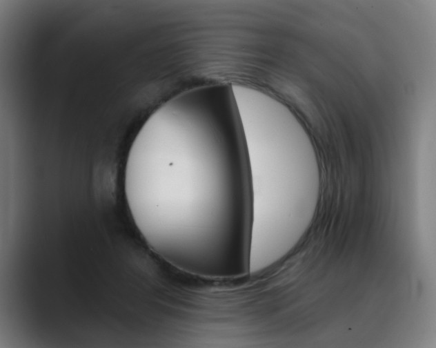 X0000089940404200706290819