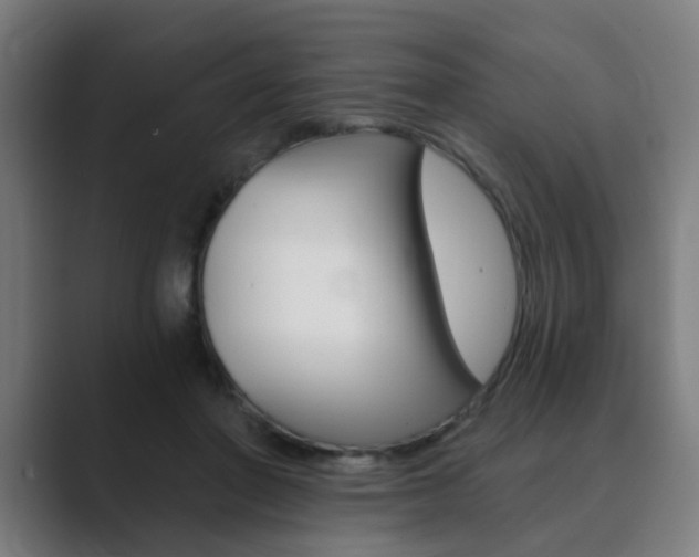 X0000089940406200706290819