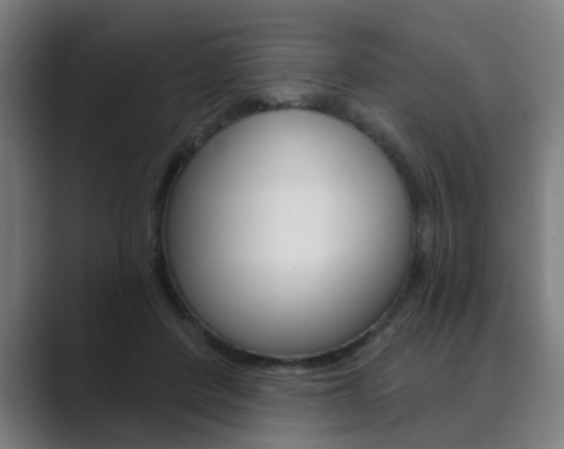 X0000089940408200706290819