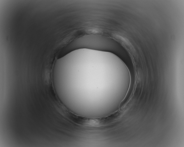 X0000089940409200706290819