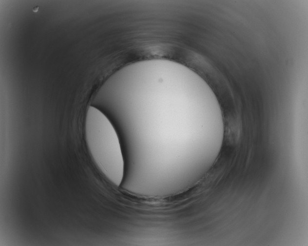 X0000089940410200706290819