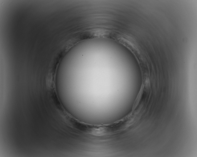X0000089940411200706290819