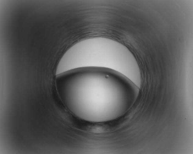 X0000089940412200706290819