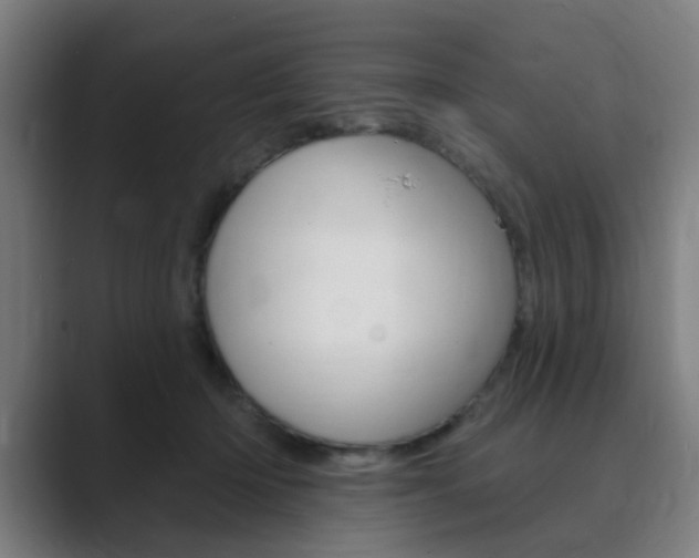 X0000089940414200706290819