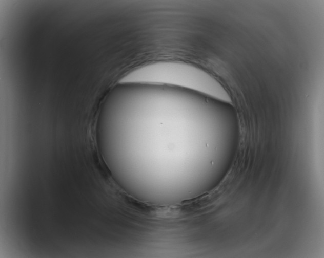X0000089940415200706290819