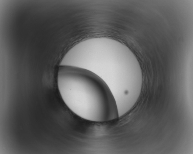 X0000089940416200706290819