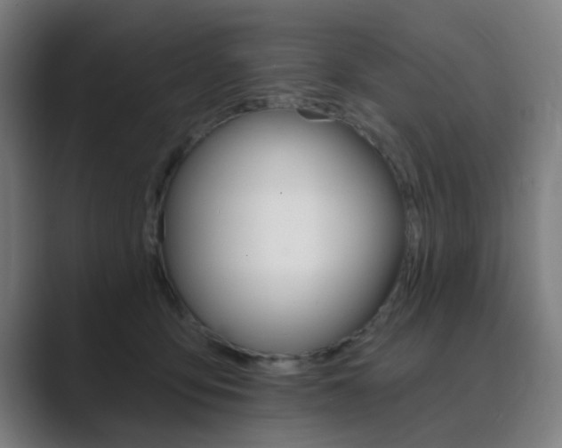 X0000089940419200706290819