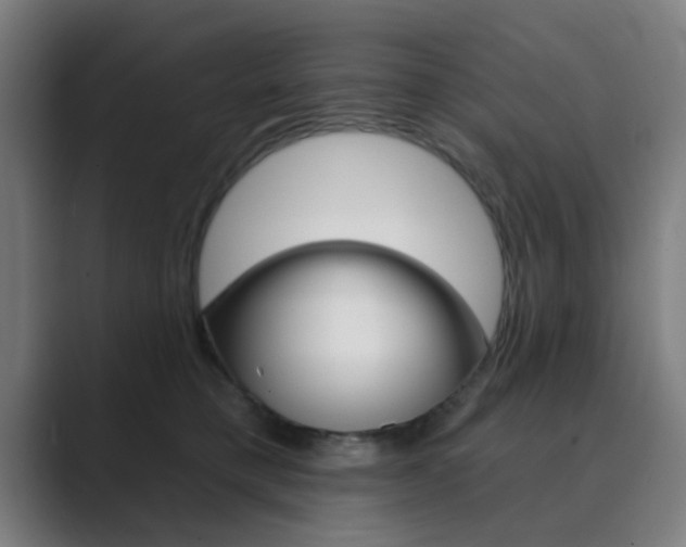 X0000089940421200706290819