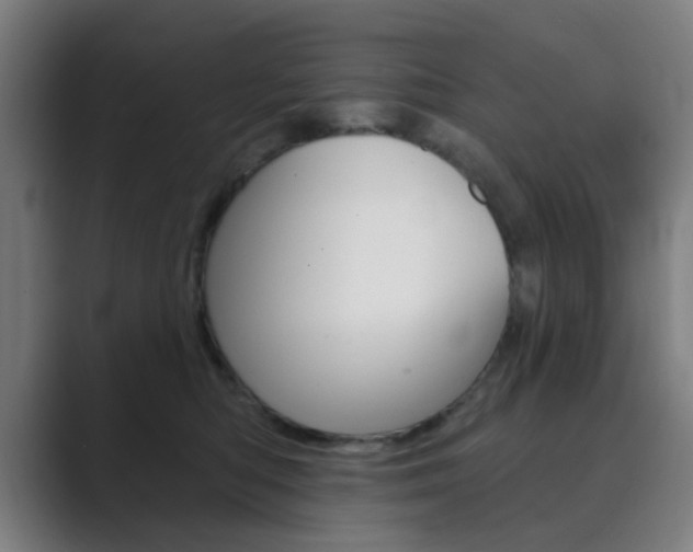 X0000089940422200706290819