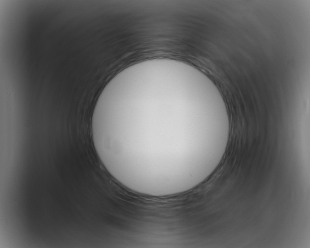 X0000089940425200706290819
