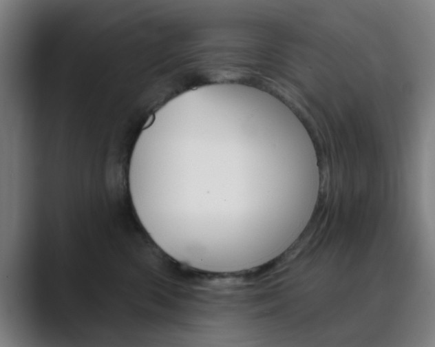 X0000089940426200706290819