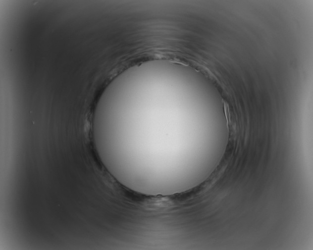 X0000089940427200706290819