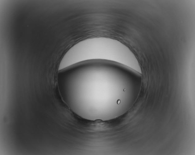 X0000089940428200706290819