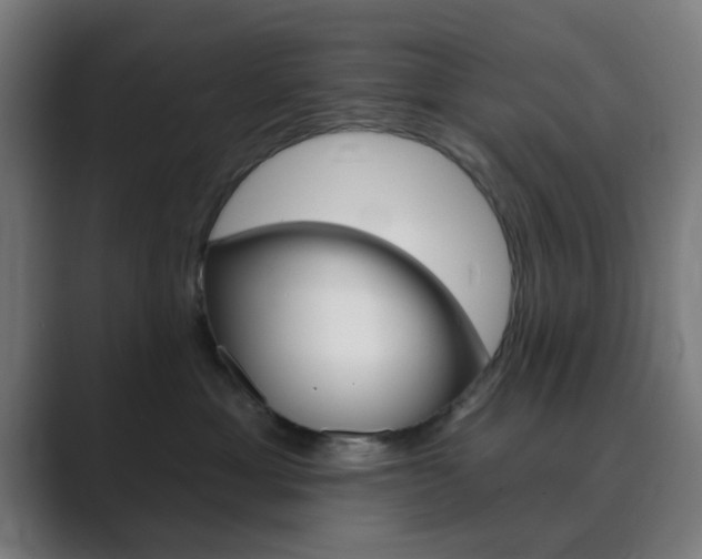 X0000089940429200706290819