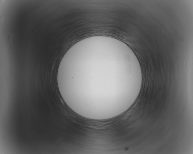 X0000089940431200706290819