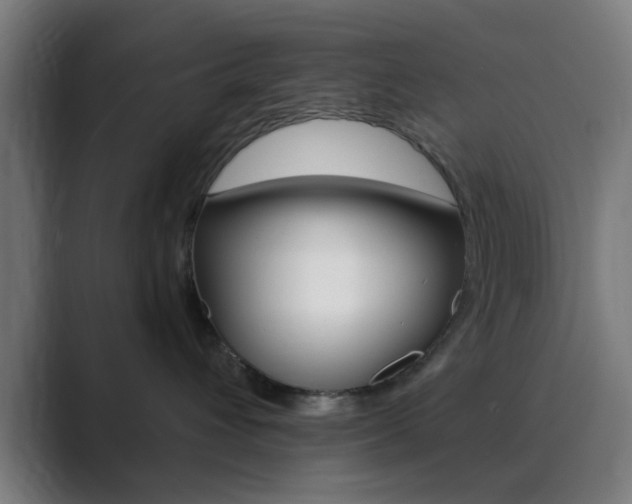 X0000089940432200706290819