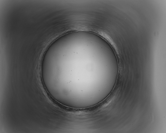 X0000089940433200706290818