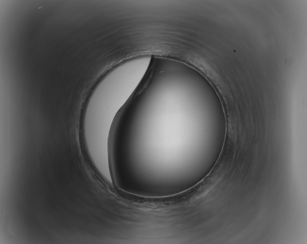 X0000089940434200706290818