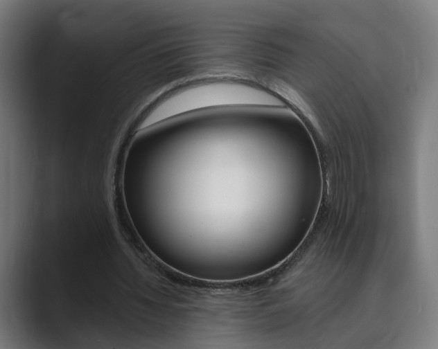 X0000089940436200706290818