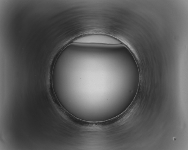 X0000089940437200706290818