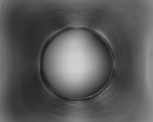 X0000089940438200706290818