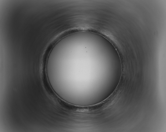X0000089940440200706290818