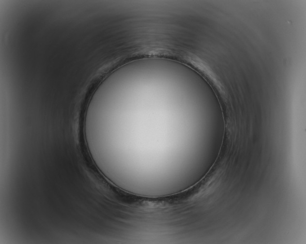 X0000089940442200706290818