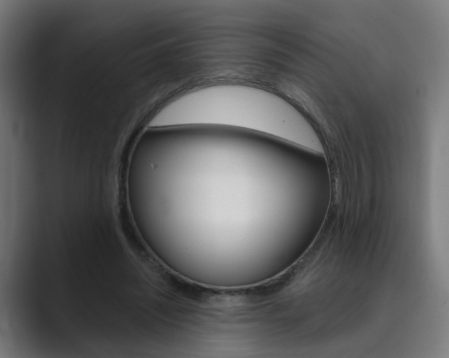 X0000089940444200706290819