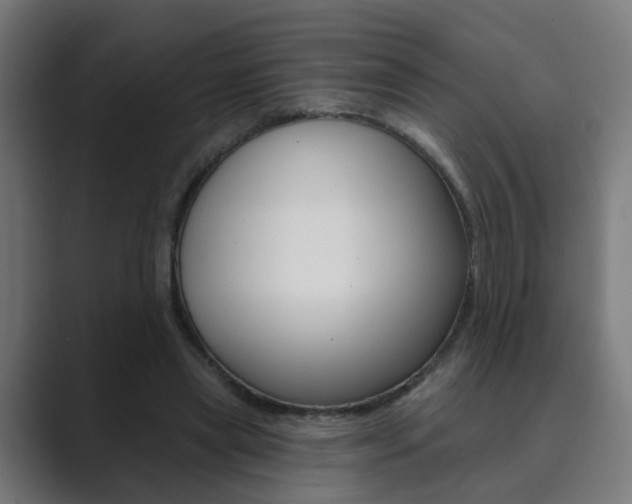 X0000089940445200706290819