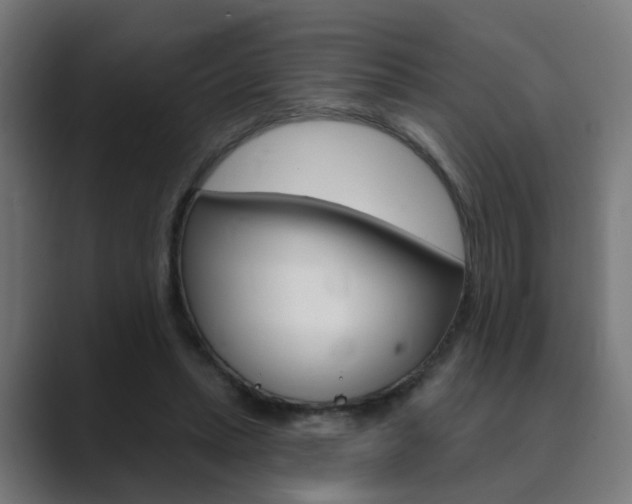 X0000089940447200706290819