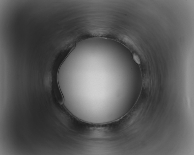 X0000089940448200706290819