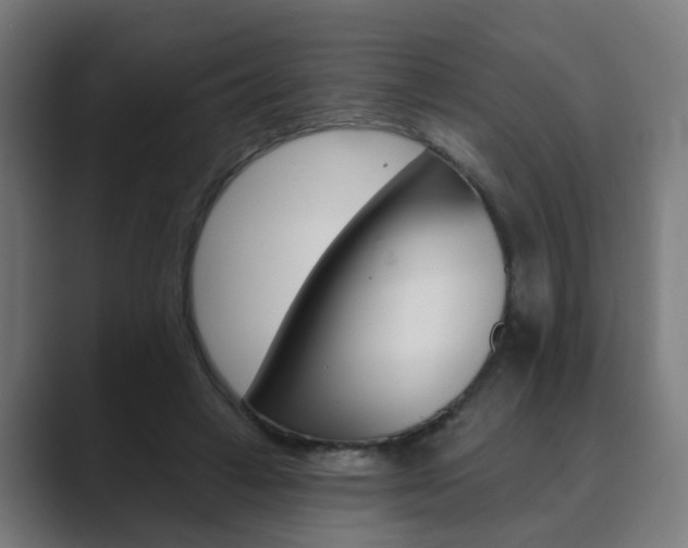 X0000089940449200706290819