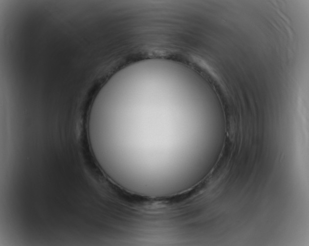 X0000089940451200706290819