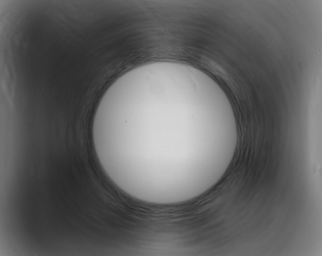 X0000089940452200706290819