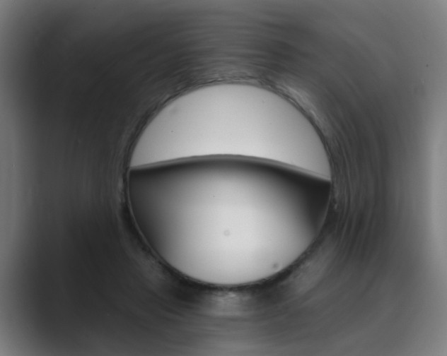 X0000089940453200706290819