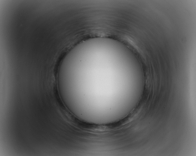 X0000089940459200706290819