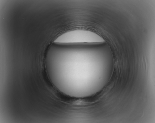 X0000089940460200706290819