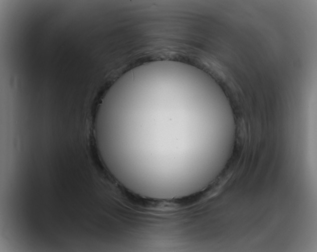X0000089940463200706290819